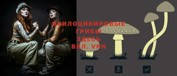 jwh Богородицк