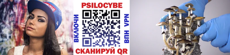 блэк спрут ссылки  Северская  Галлюциногенные грибы Cubensis 